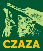 czaza Logo